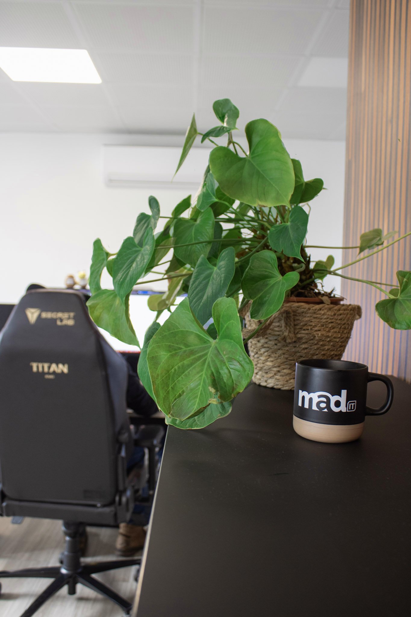 Werkplek bij Mad IT met ergonomische bureaustoel, groene kamerplant en Mad IT-mok — aangename en gezonde kantooromgeving voor IT-professionals.